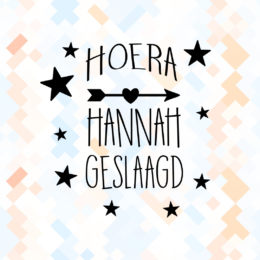 Raamsticker hoera geslaagd (sterren)